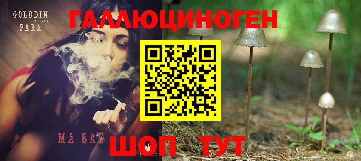 Кашира  Галлюциногенные грибы мицелий  Вход с VPN 